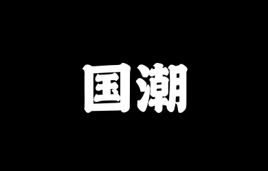 山海国潮 95W